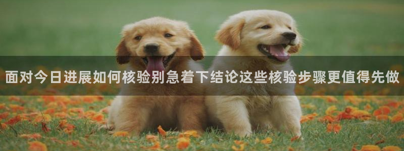 热门热点爆料