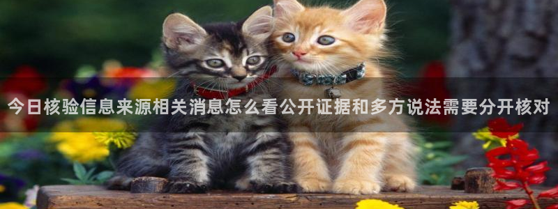 黑料今日事件