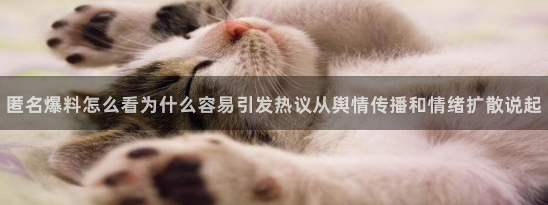 黑料新闻网