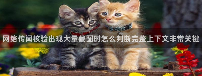 黑料爆料资讯搜索:网络传闻核验出现大量截图时怎么判断完整上下文非常关键