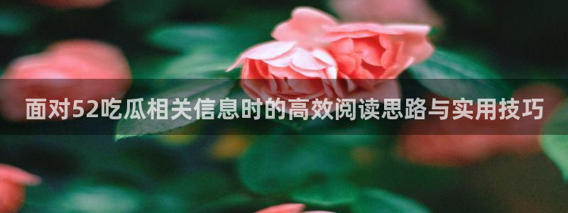 黑料爆料热门内容:面对52吃瓜相关信息时的高效阅读思路与实用技巧