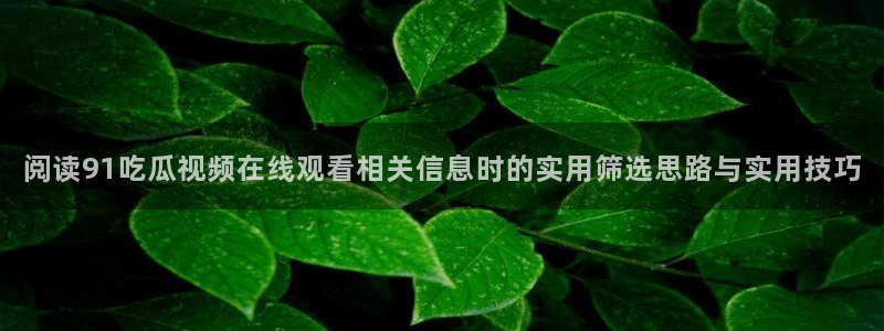 热点爆料网：阅读91吃瓜视频在线观看相关信息时的实用筛选思路与实用技巧