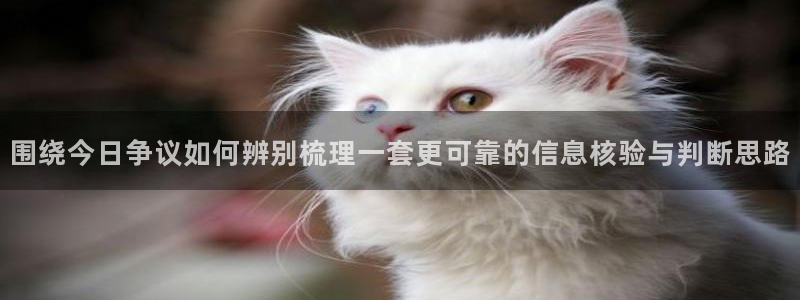 黑料热门话题：围绕今日争议如何辨别梳理一套更可靠的信息核验与判断思路