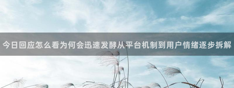 黑料热门话题：今日回应怎么看为何会迅速发酵从平台机制到用户情绪逐步拆解